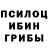 Псилоцибиновые грибы ЛСД Alfisyar
