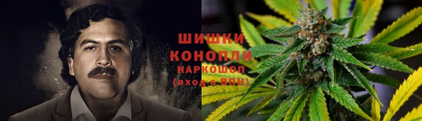 ECSTASY Новозыбков