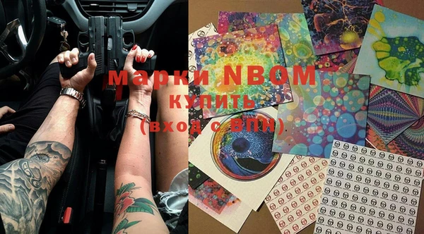ECSTASY Новозыбков