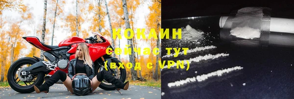 соль курить ск Новодвинск