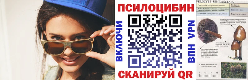 Псилоцибиновые грибы Cubensis  Апатиты 