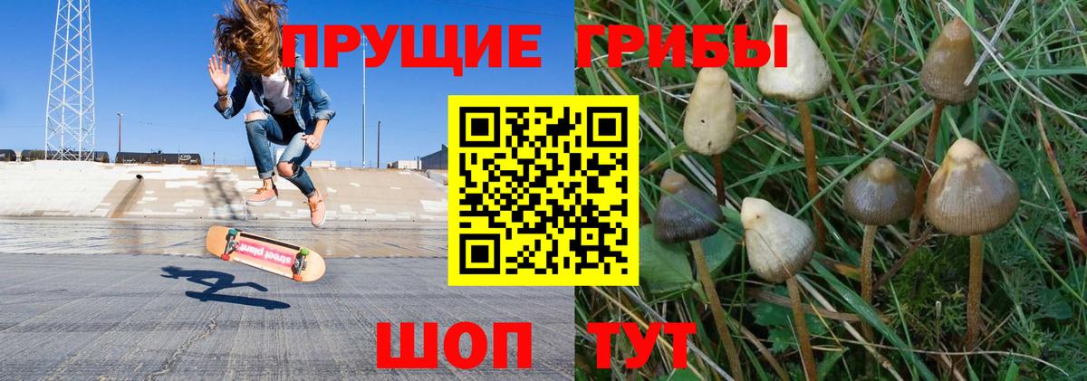 Псилоцибиновые грибы MAGIC MUSHROOMS Апатиты
