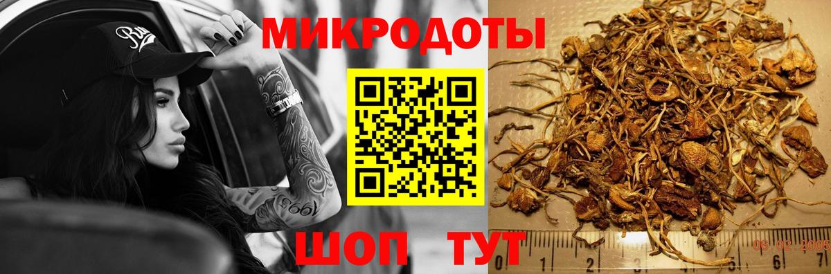 Апатиты  Псилоцибиновые грибы мухоморы  Вход с VPN 
