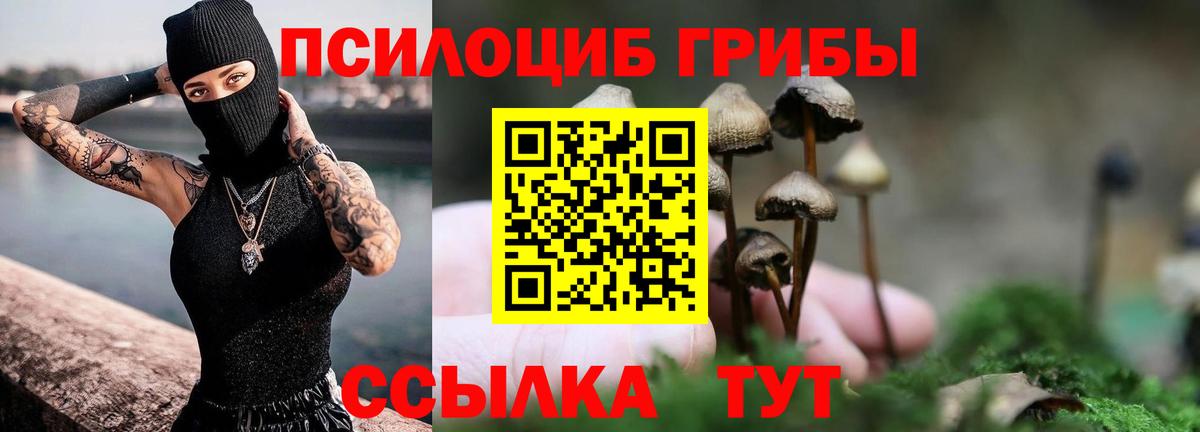 Галлюциногенные грибы GOLDEN TEACHER  Апатиты 