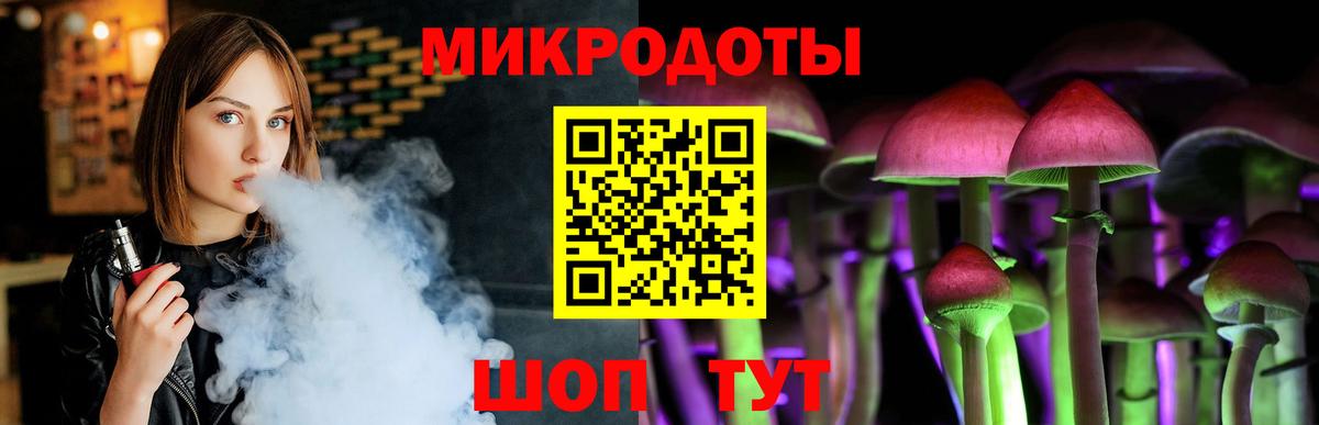 Псилоцибиновые грибы Psilocybe Апатиты